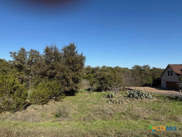 206 Falling Hills - Photo 1