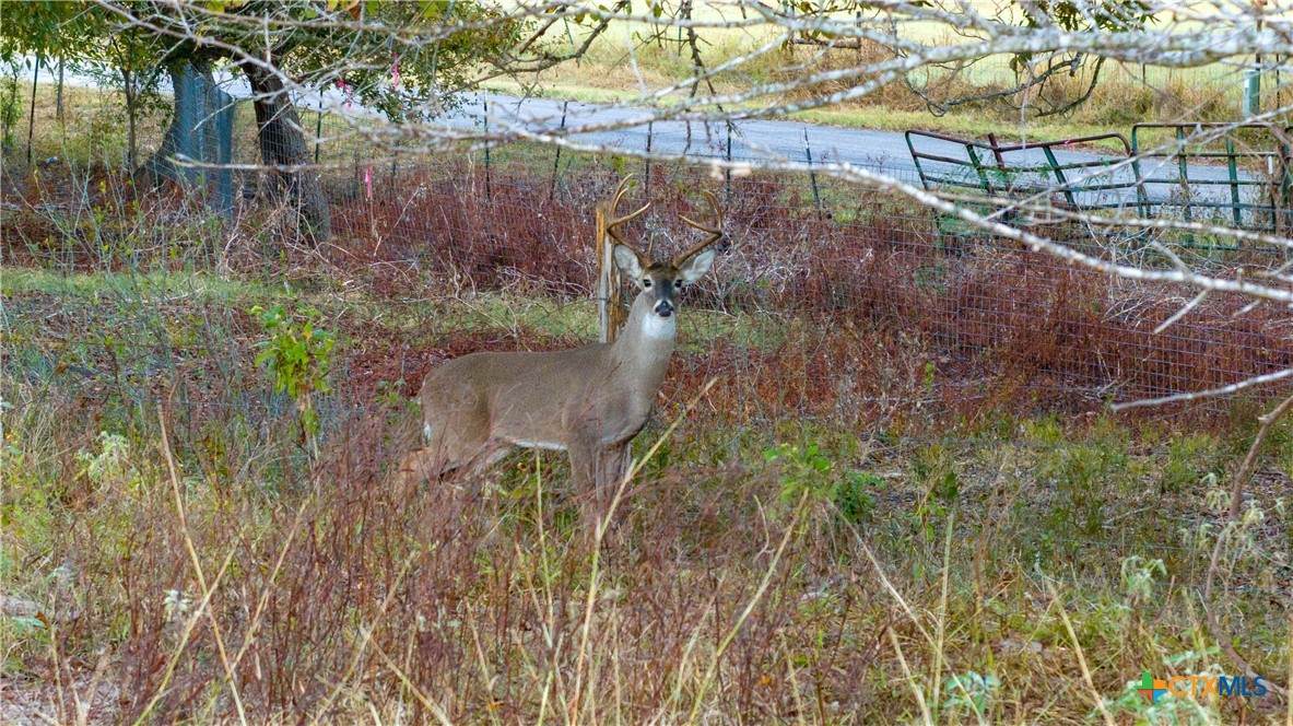 1900 Appling Road - Photo 1