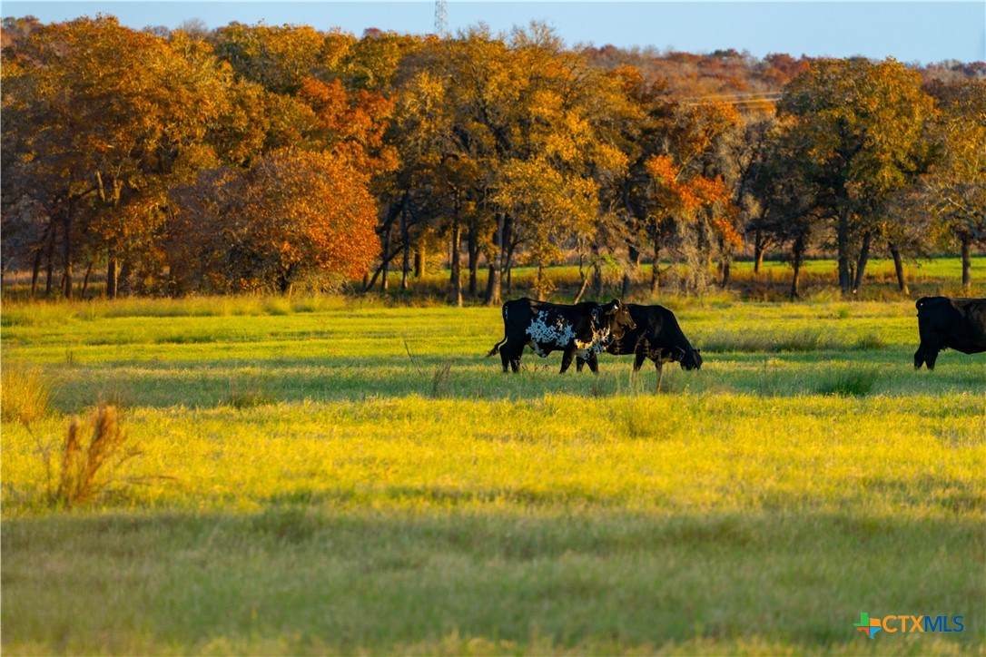 TBD Tx-123 - Photo 1