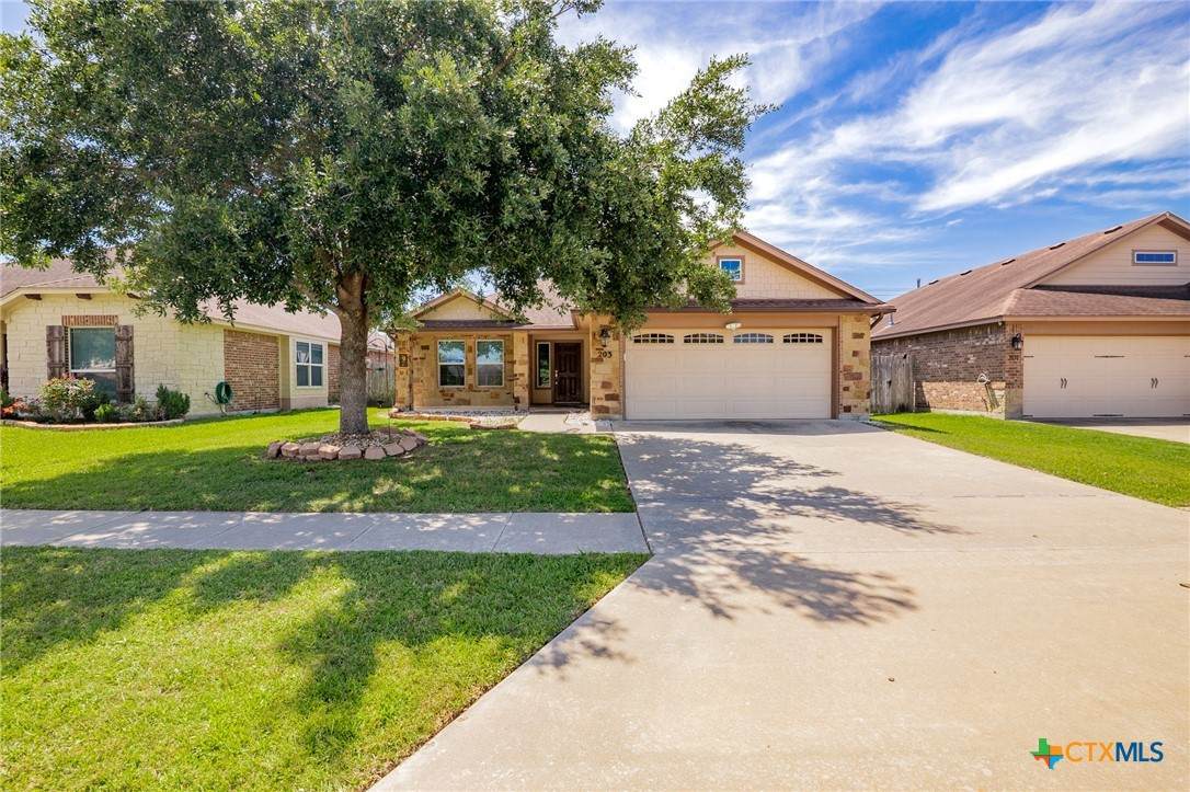 203 Terravista Trail - Photo 1