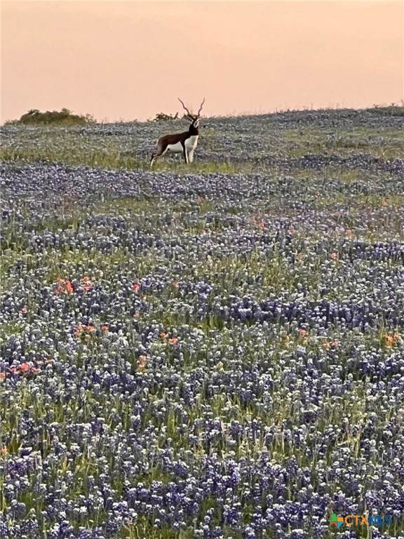 2265 County Road 106 - Photo 1