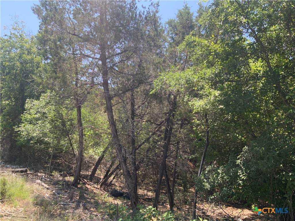 4105 Sherwood Drive - Photo 1