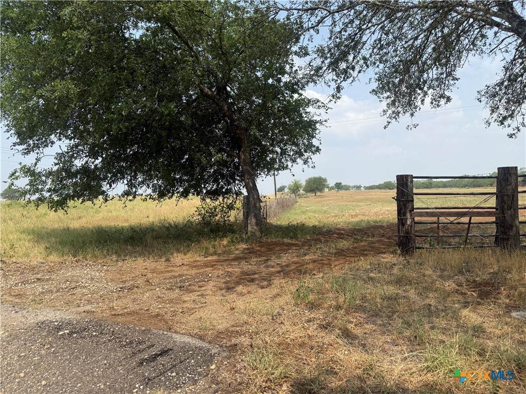 1404 Us Highway 87 - Photo 1
