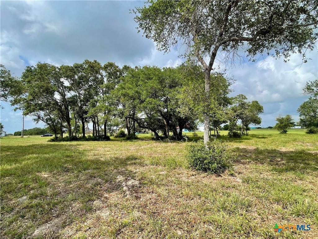 67 Dewberry Lane - Photo 1