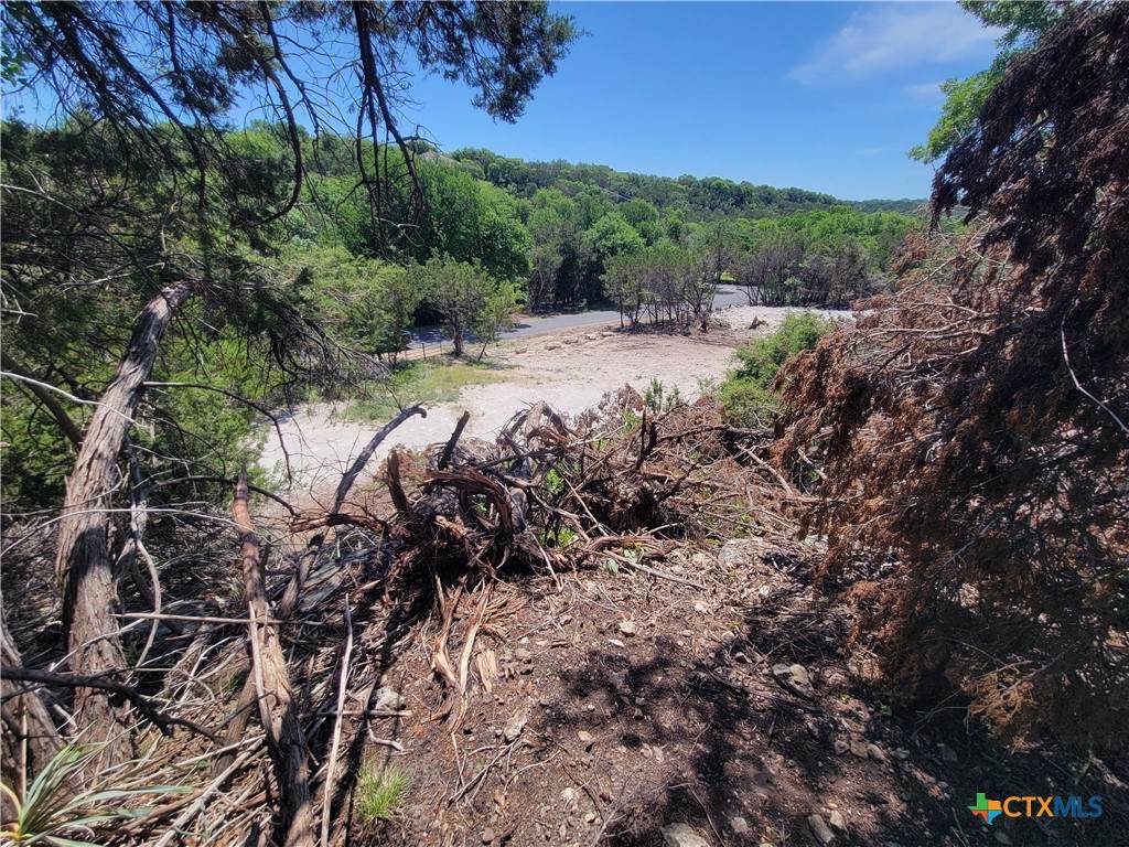 6499 Hood Trail - Photo 1