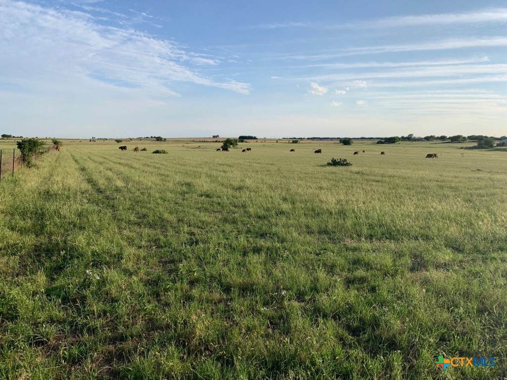 3873 Barnes Road - Photo 1