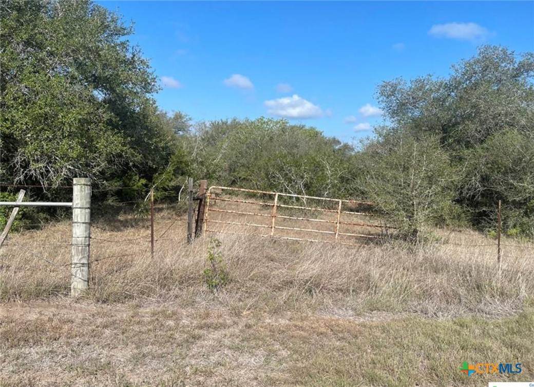 3626 Old Goliad Road - Photo 1