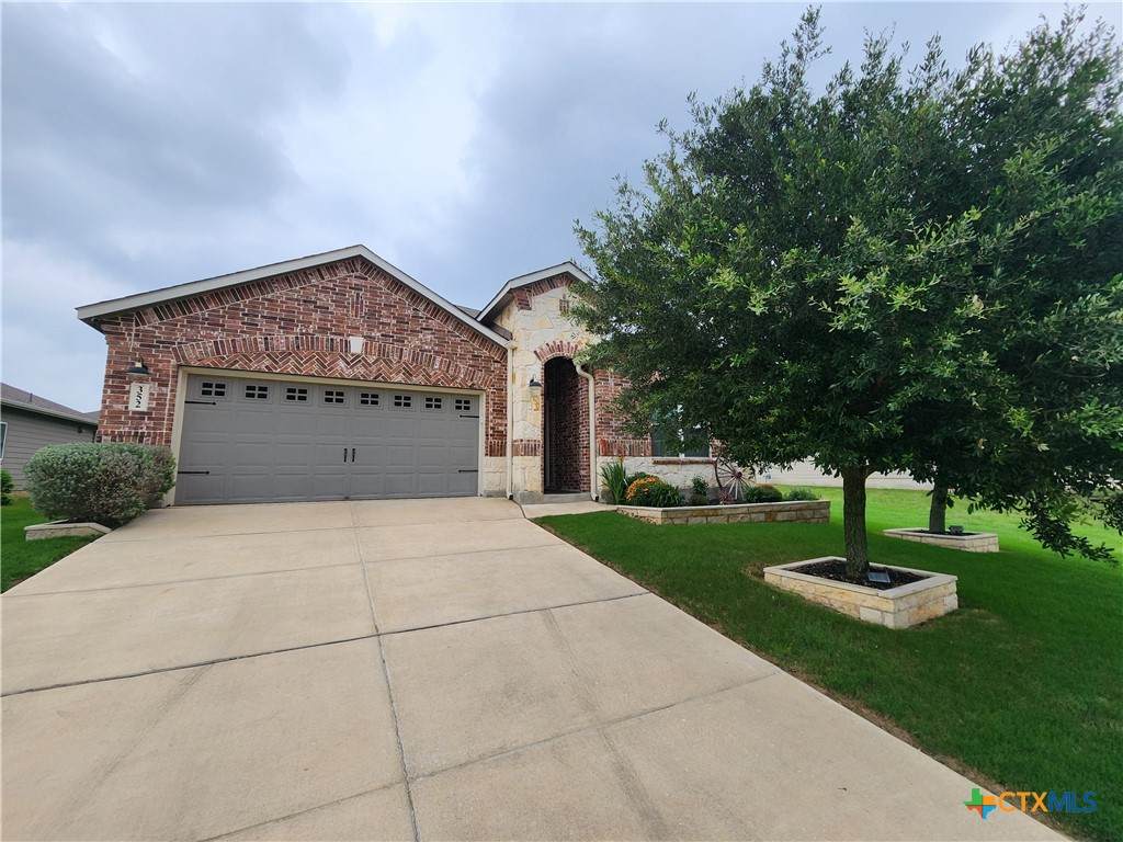 352 Lillianite - Photo 1