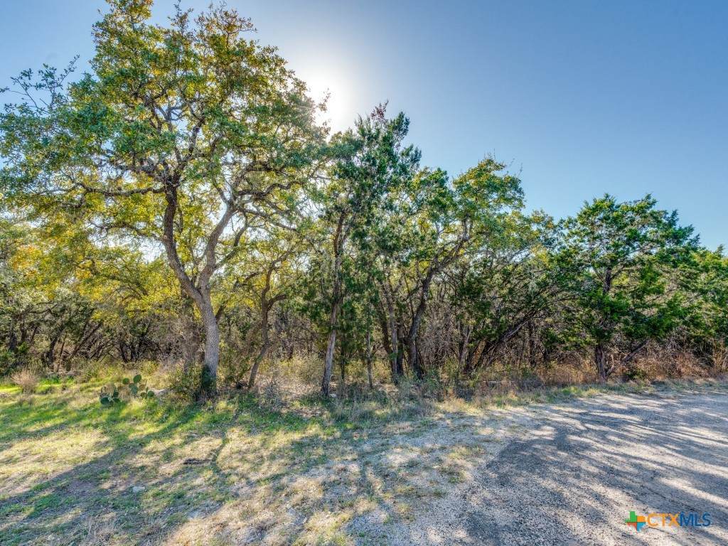 223 Lakeview Circle - Photo 1