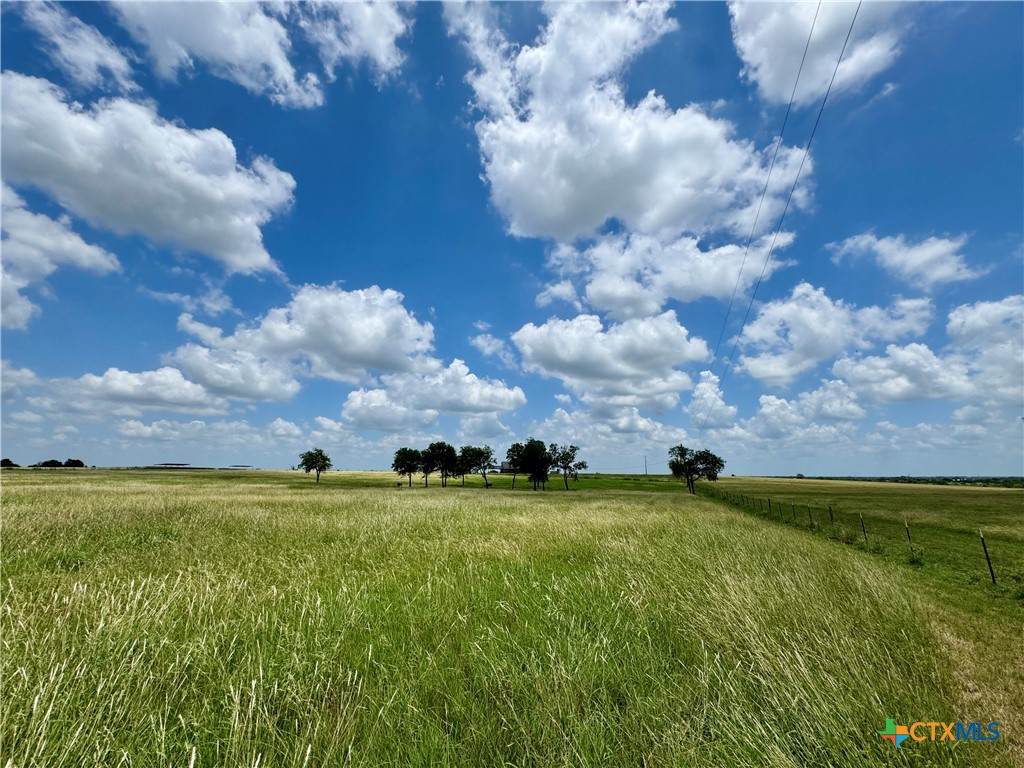 12 Acres Smith Dairy Road - Photo 1