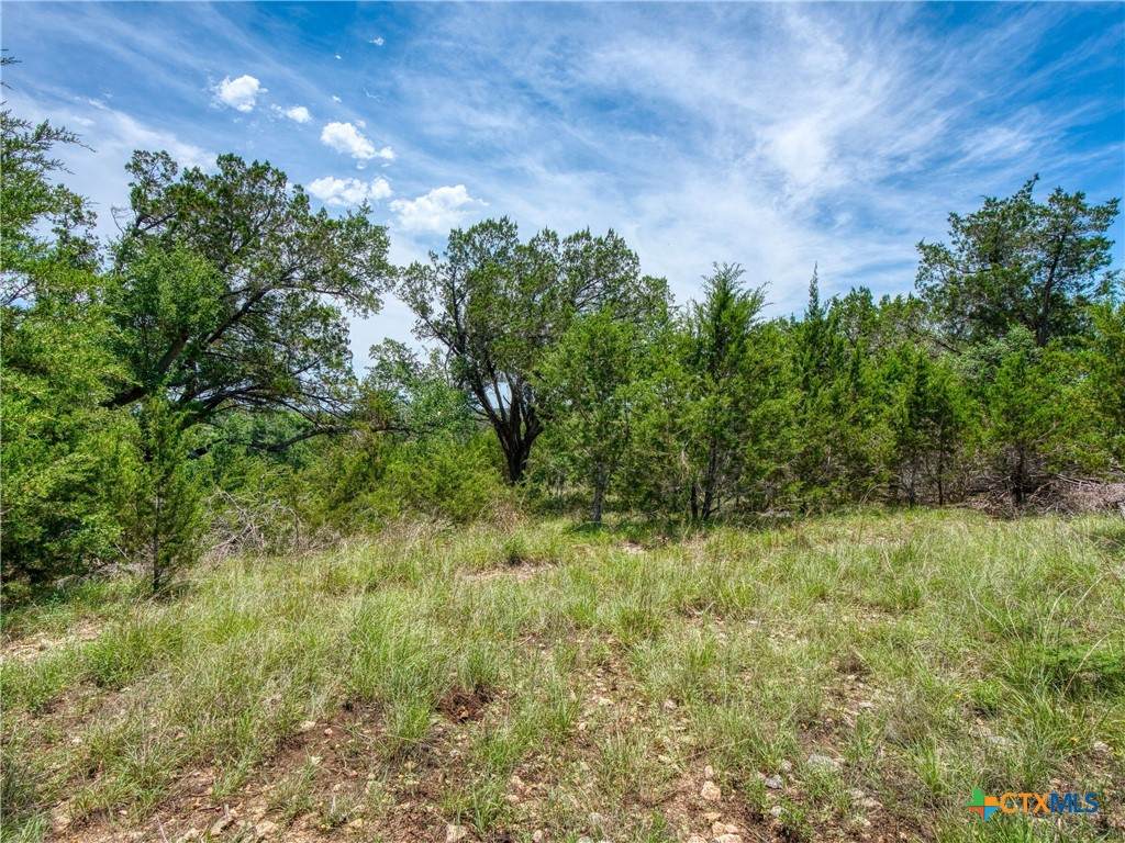 114 Oyster Springs - Photo 1
