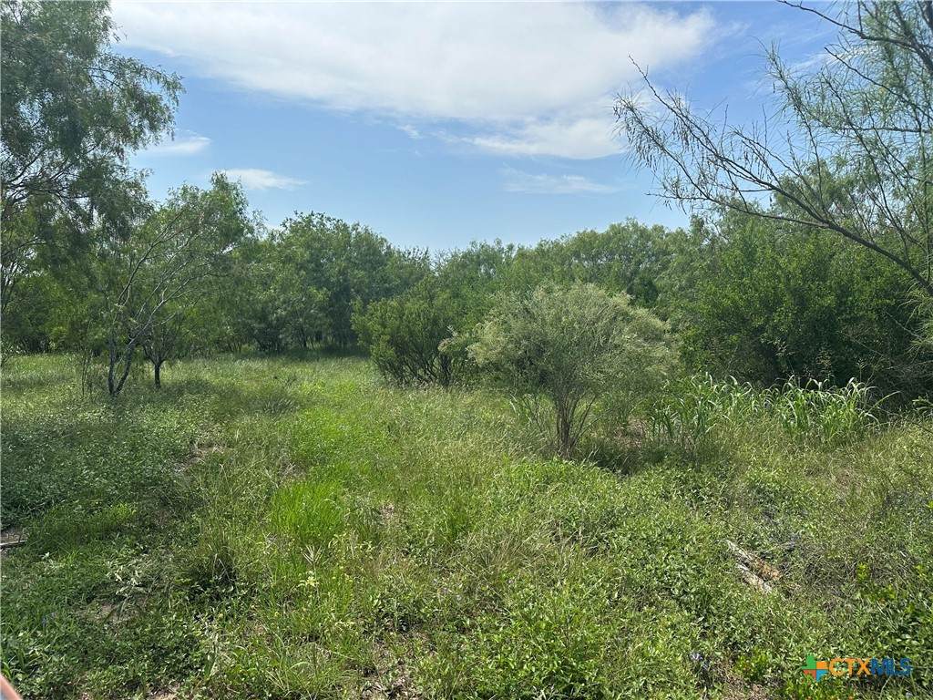 810 Water Tower Road - Photo 1