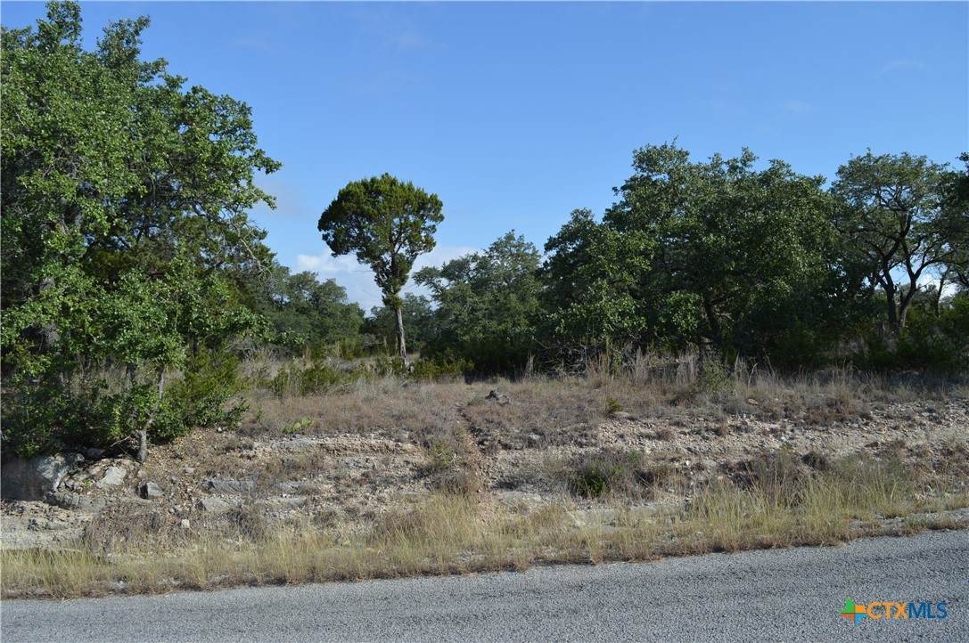 207 Flanders - Photo 1