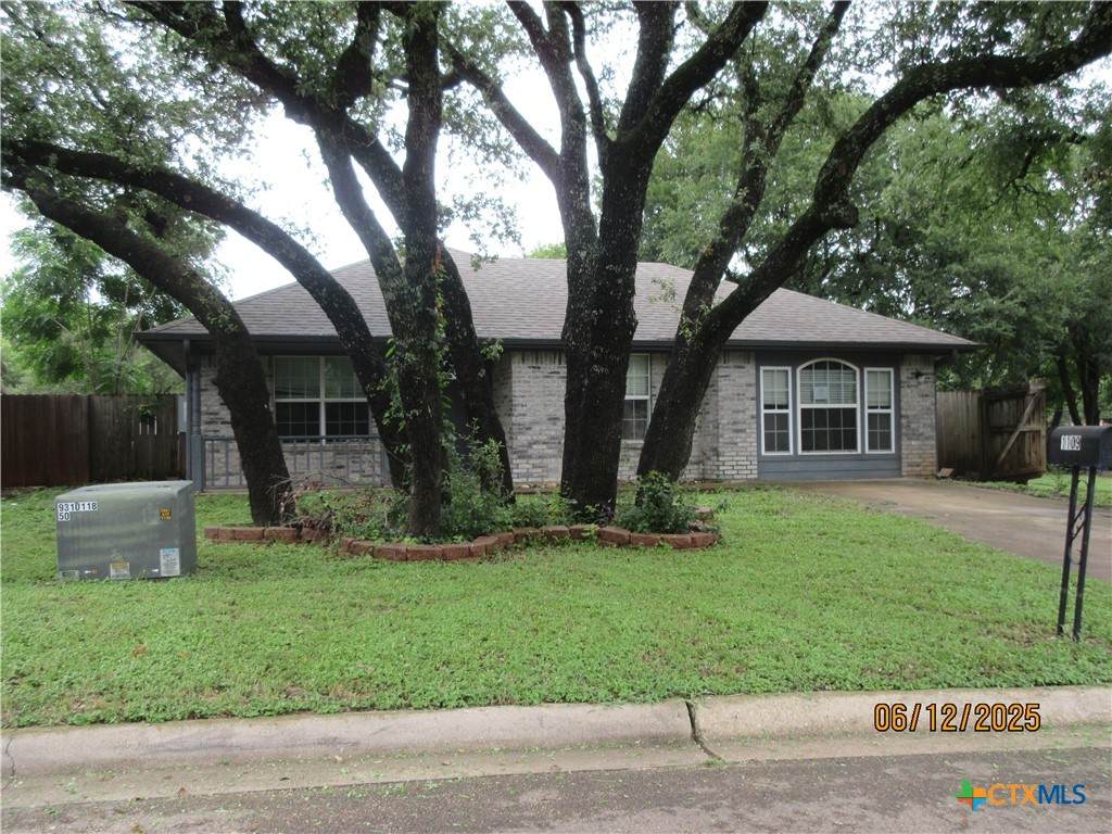 1109 Avenue M - Photo 1
