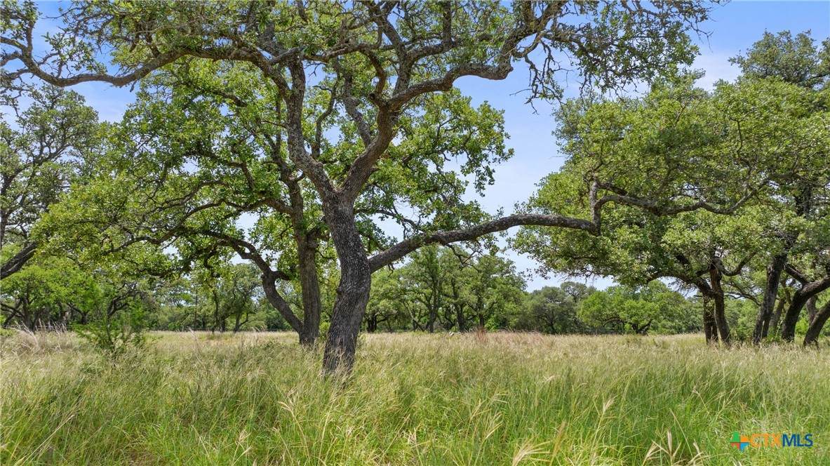 997 Sandy Oaks Ranch Rd - Photo 1