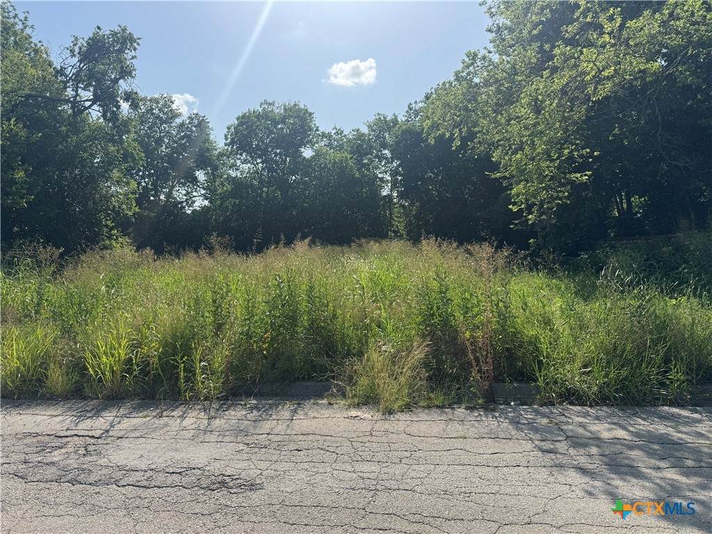 116 Fowler Road - Photo 1