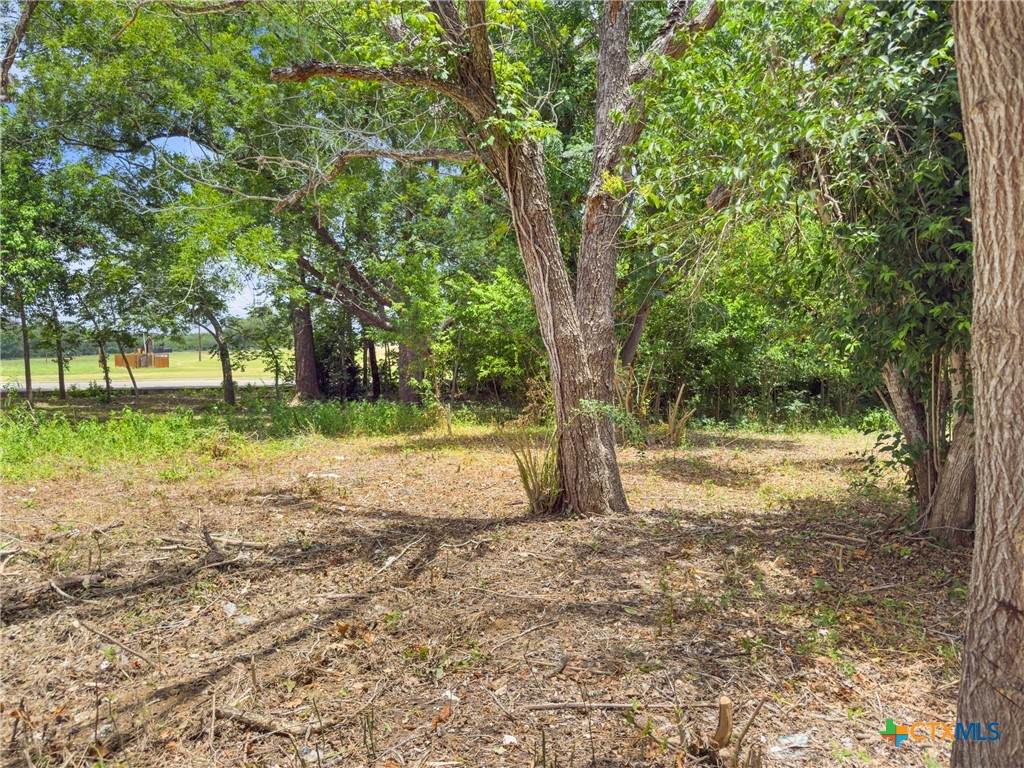 1140 Hackberry Avenue - Photo 1