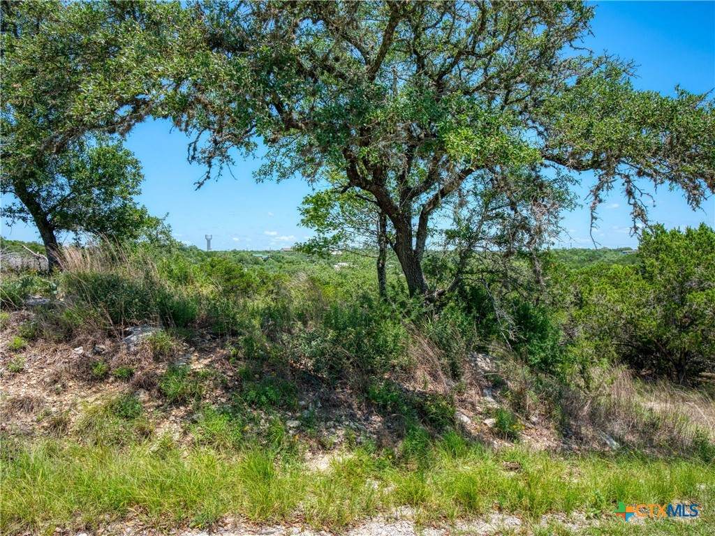 151 Nighthawk Lane - Photo 1