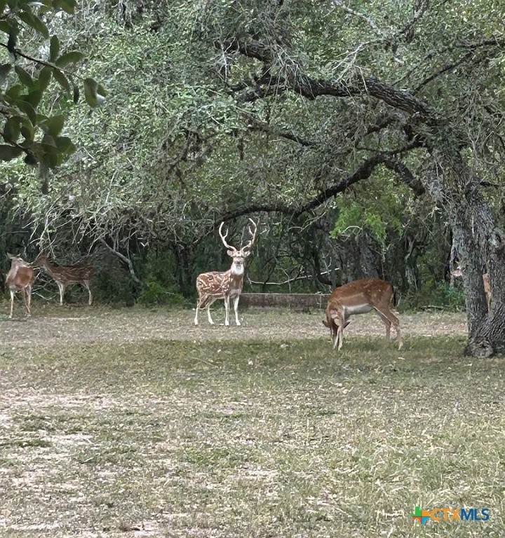 305 Cr 305 - Photo 1