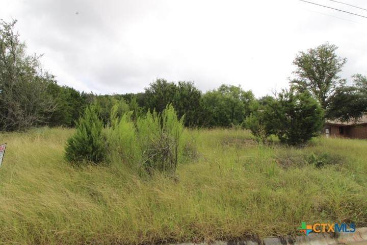 2305 Phyllis Drive - Photo 1