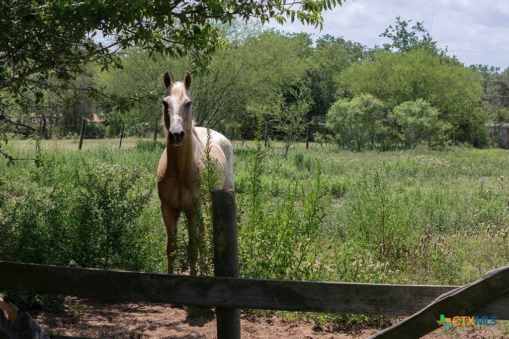 3508 Moulton Road - Photo 1