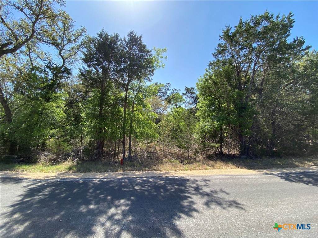 4224 Wegner Road - Photo 1
