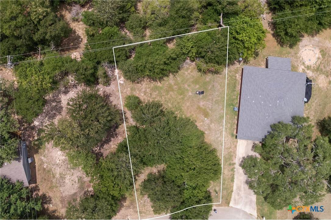 49 Buttercup Loop - Photo 1