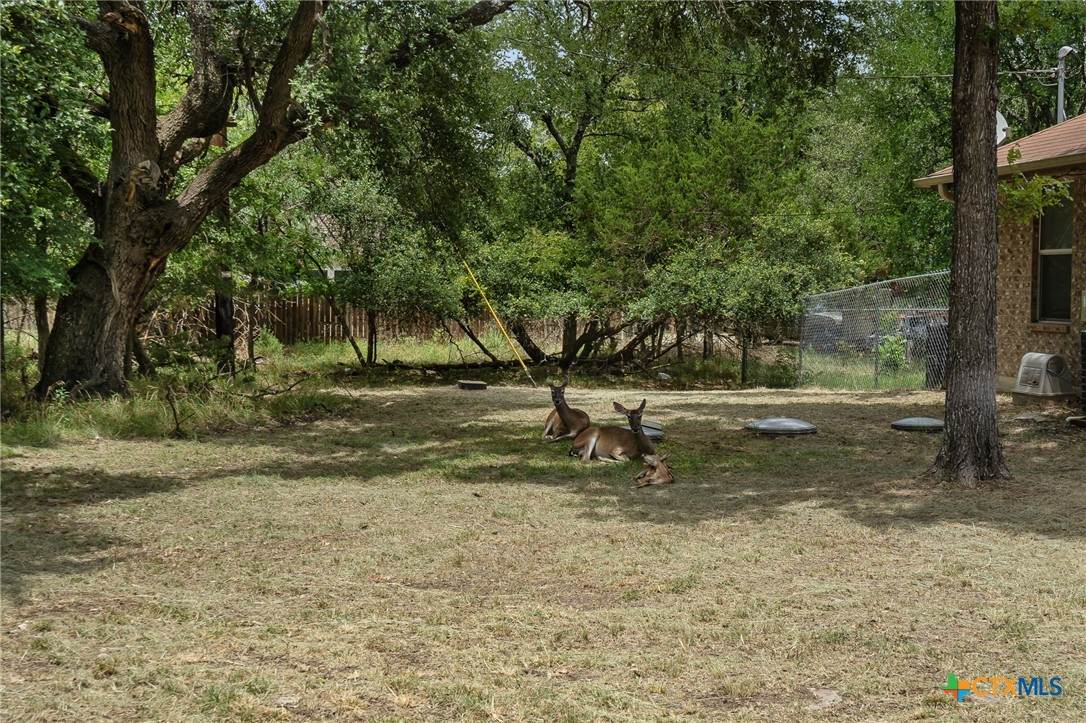 https://bt-photos.global.ssl.fastly.net/centraltx/orig_boomver_1_585633-2.jpg