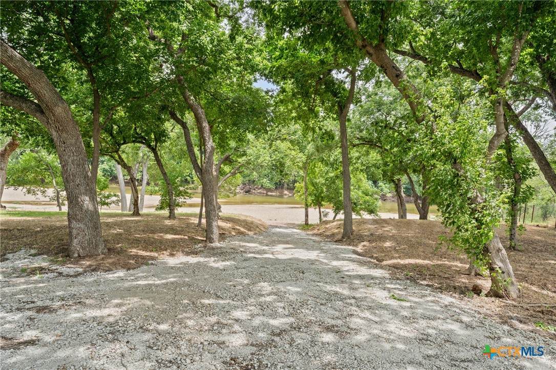 TBD Pr 3665 Road - Photo 1