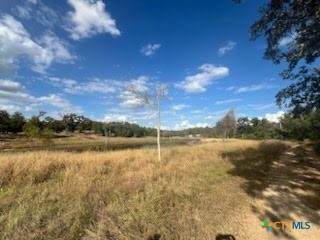 Lot 18 Woodland Trail Ranch - Photo 1