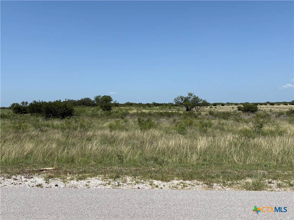 Lot 4 Homestead Drive - Photo 1