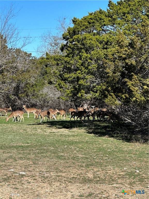 0 Deerwood Circle - Photo 1