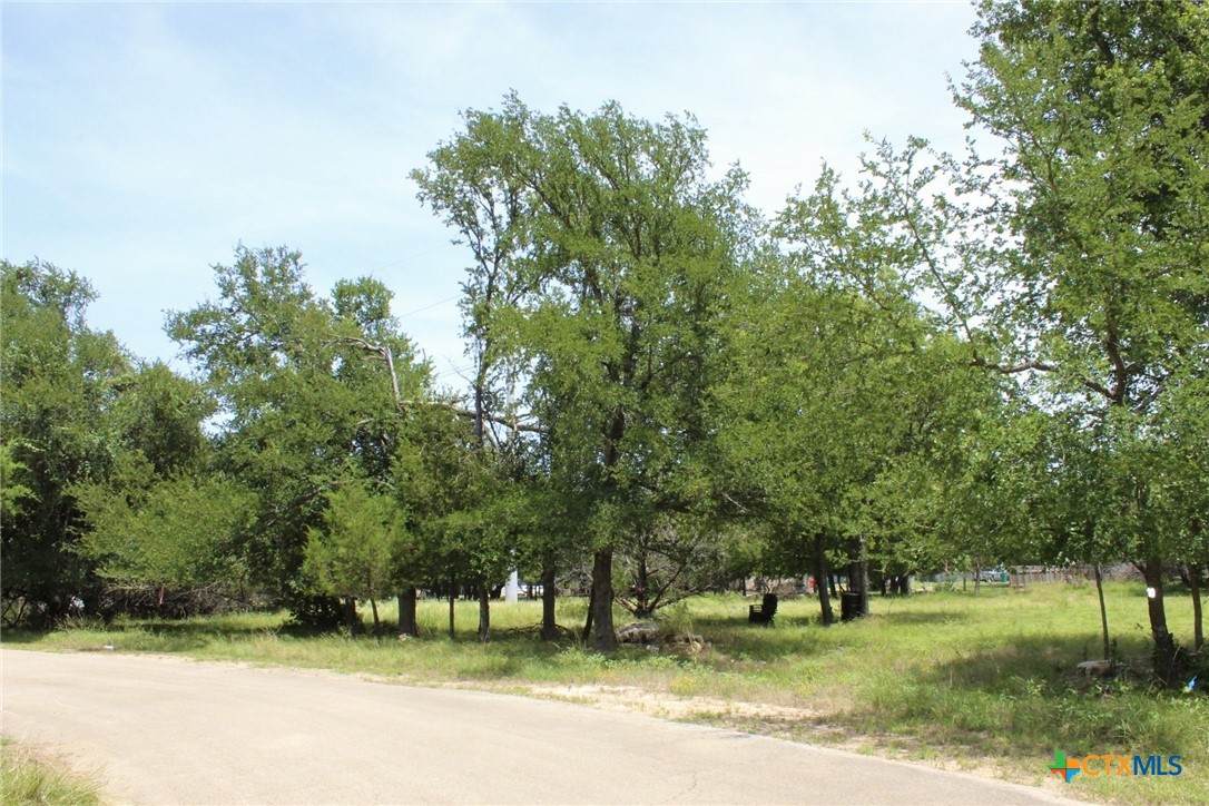 10 Hackberry Court - Photo 1
