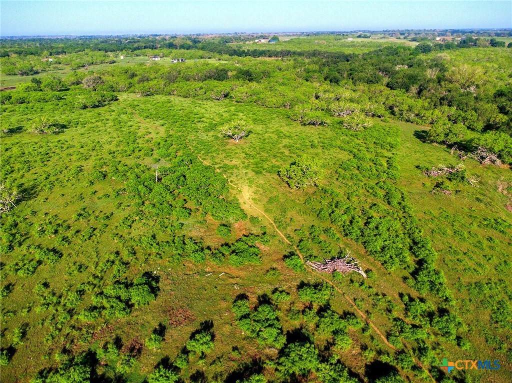 TBD County Road 447 - Photo 1