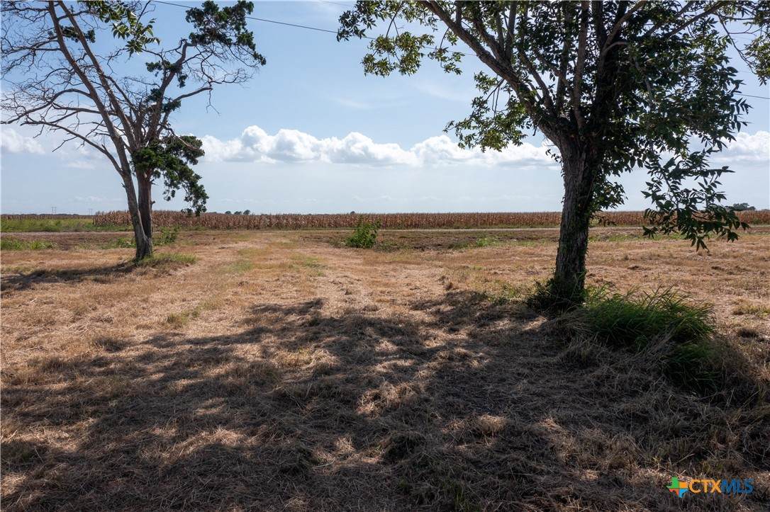 6161 County Road 324 - Photo 1