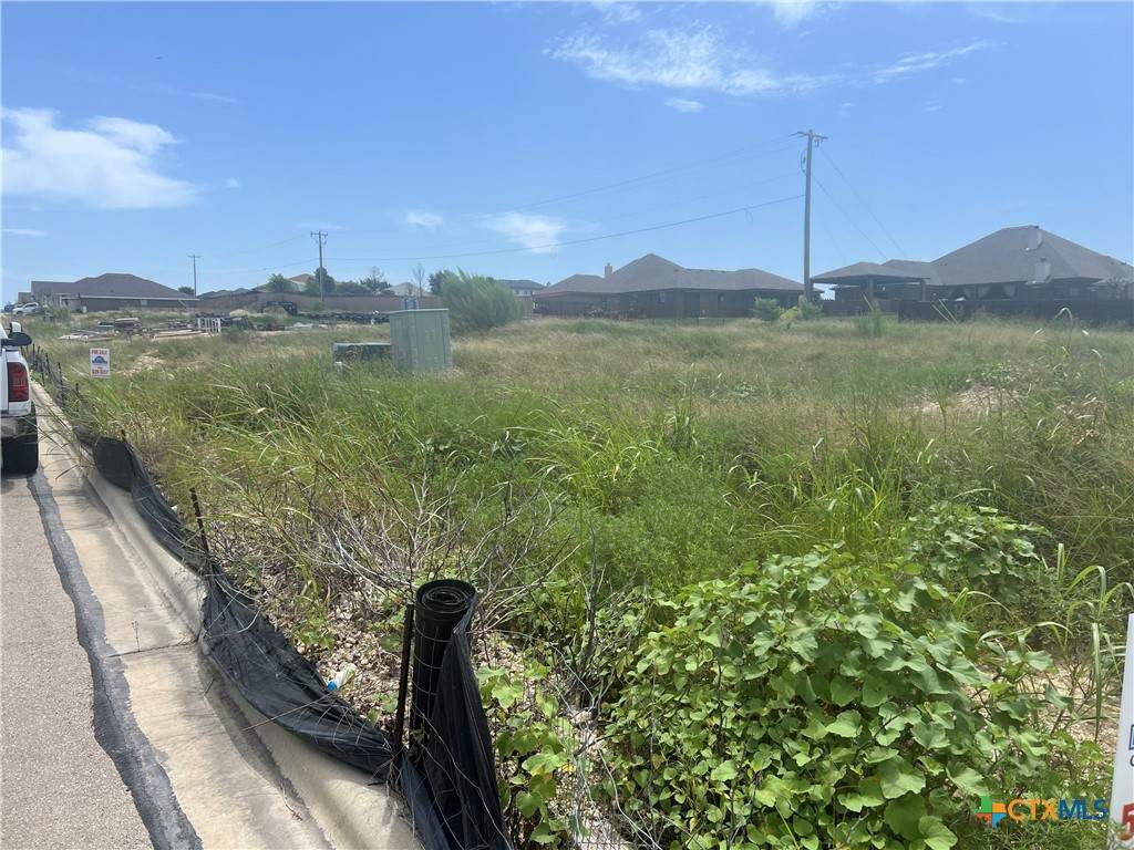 4810 Rose Garden Loop - Photo 1