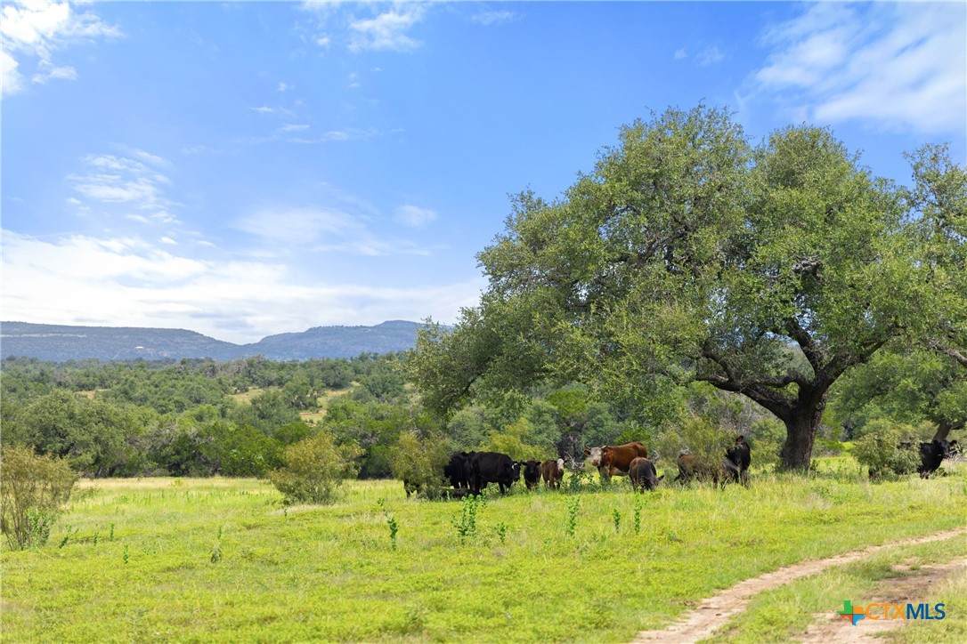 9069-47 Ranch Road 1323 - Photo 1