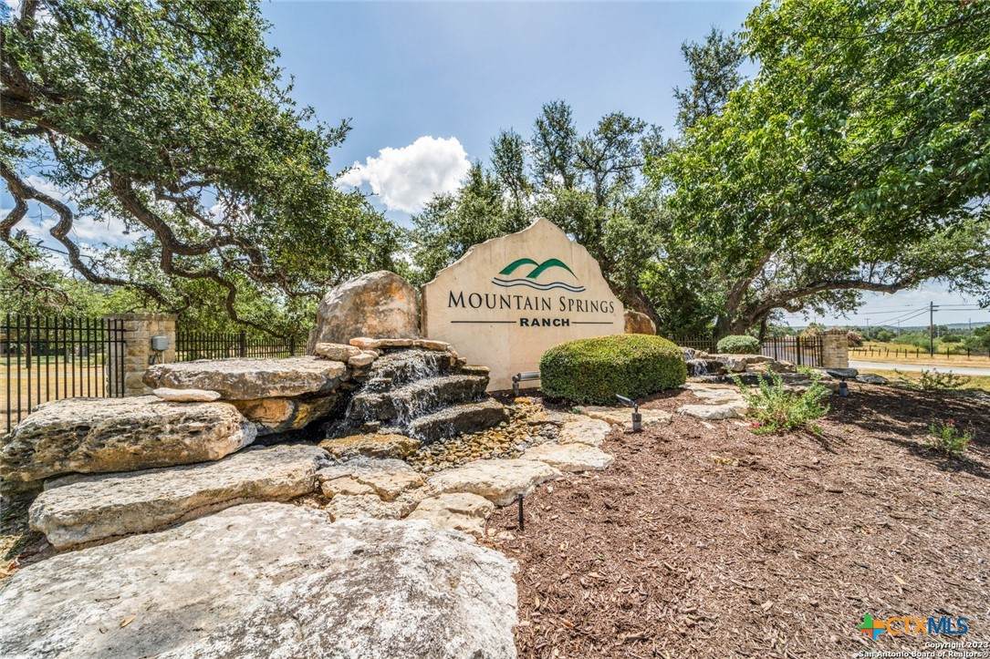 1817 Mountain Springs - Photo 1