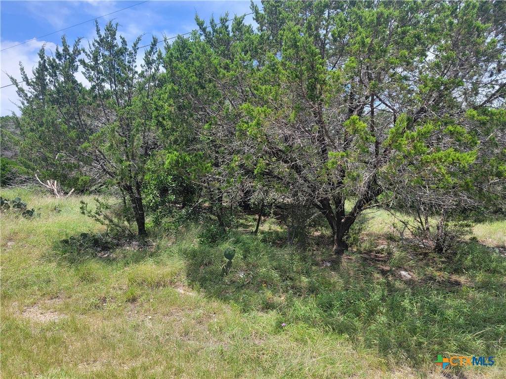 16011 Brazos Drive - Photo 1