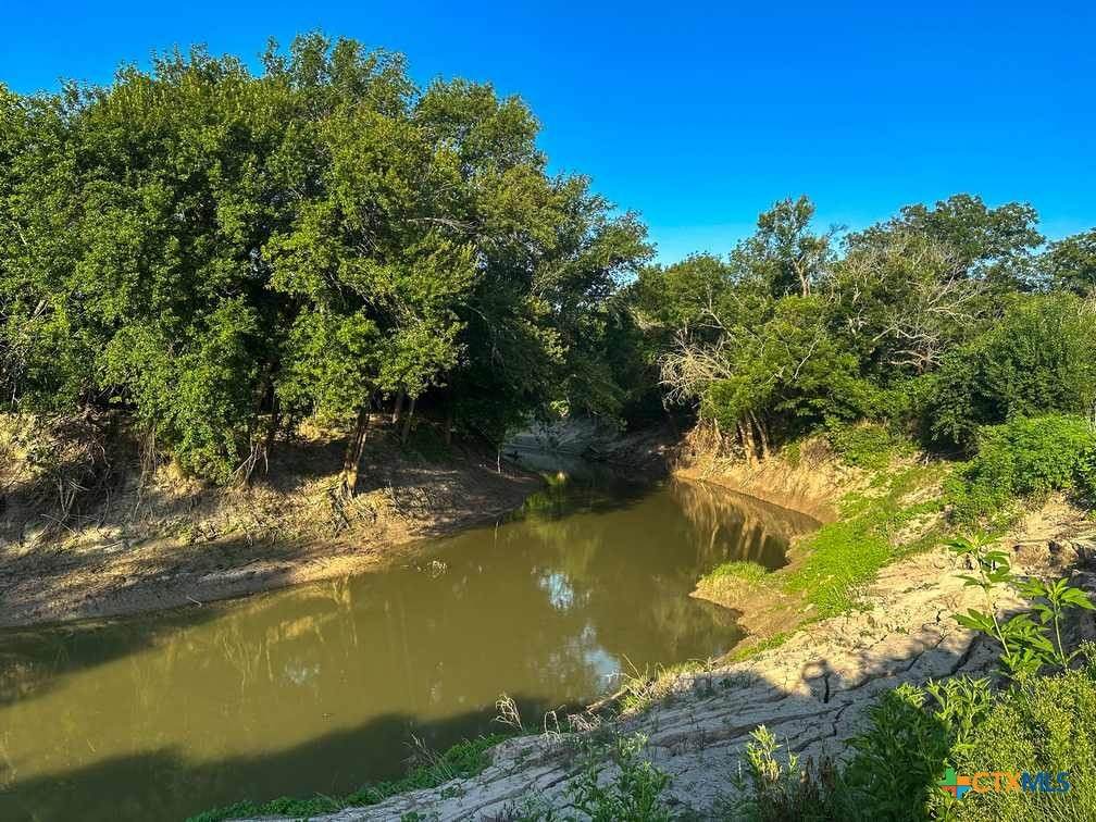 TBD Oglesby Neff Park Road - Photo 1