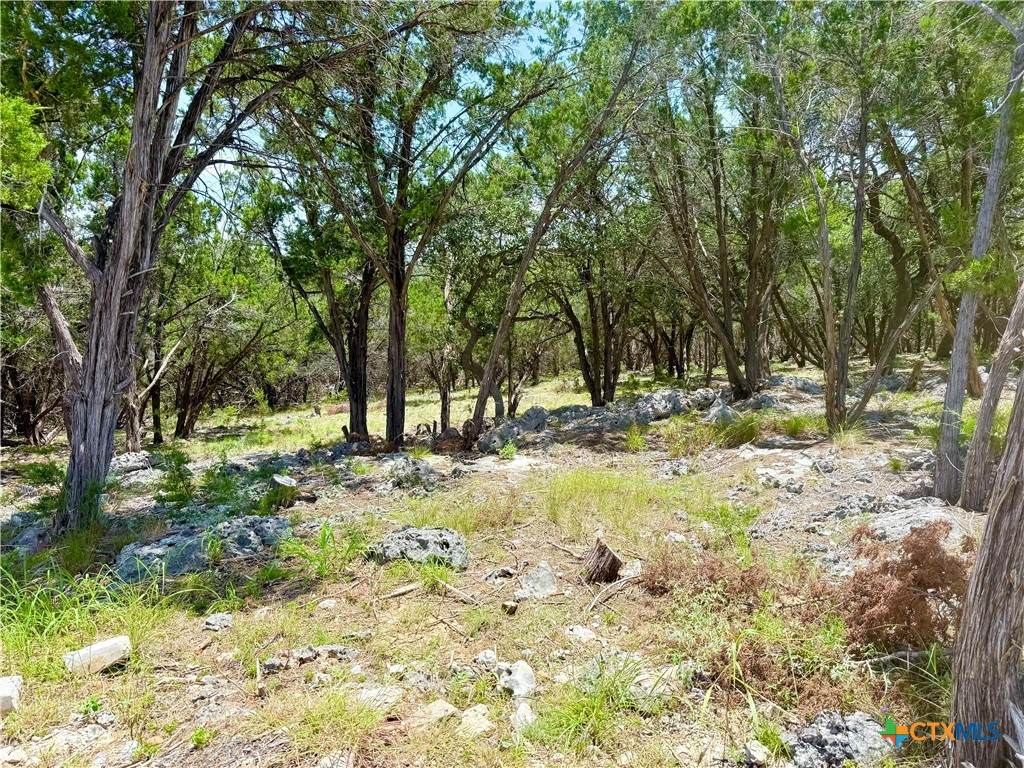 5663 Basilone Ridge - Photo 1
