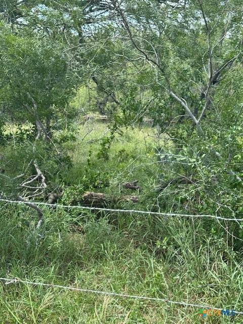 TBD Dowdy Road - Photo 1