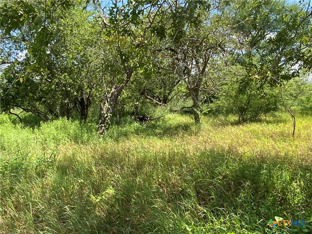 7 County Road 1144 - Photo 1