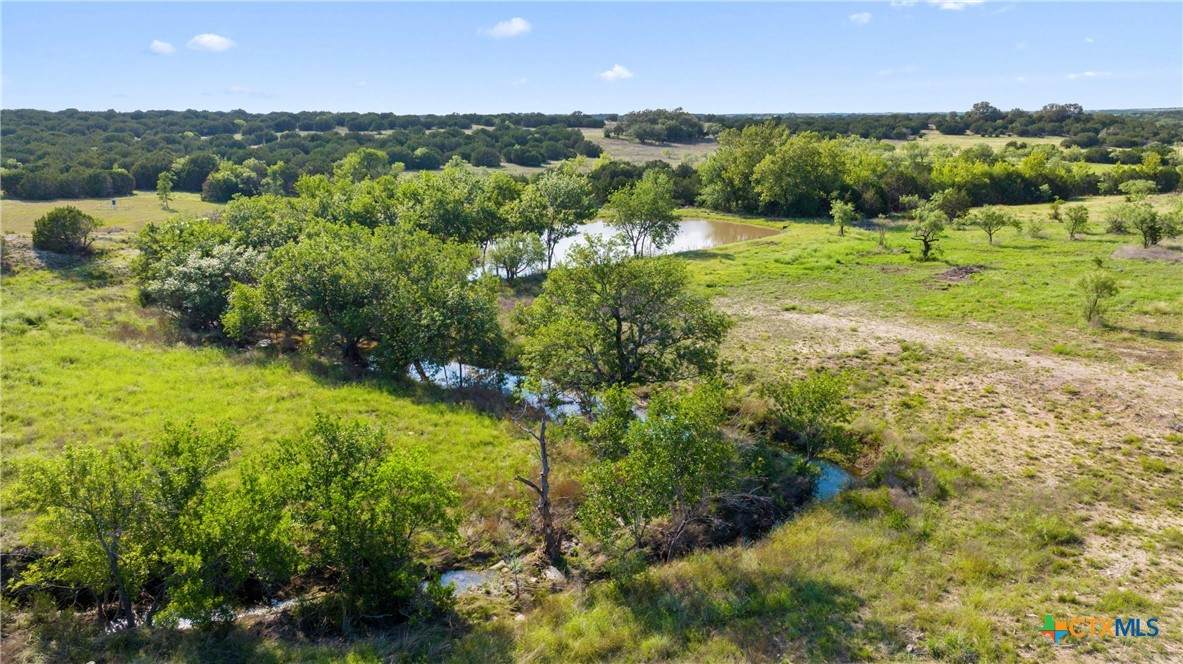 TBD County Road 207 - Photo 1