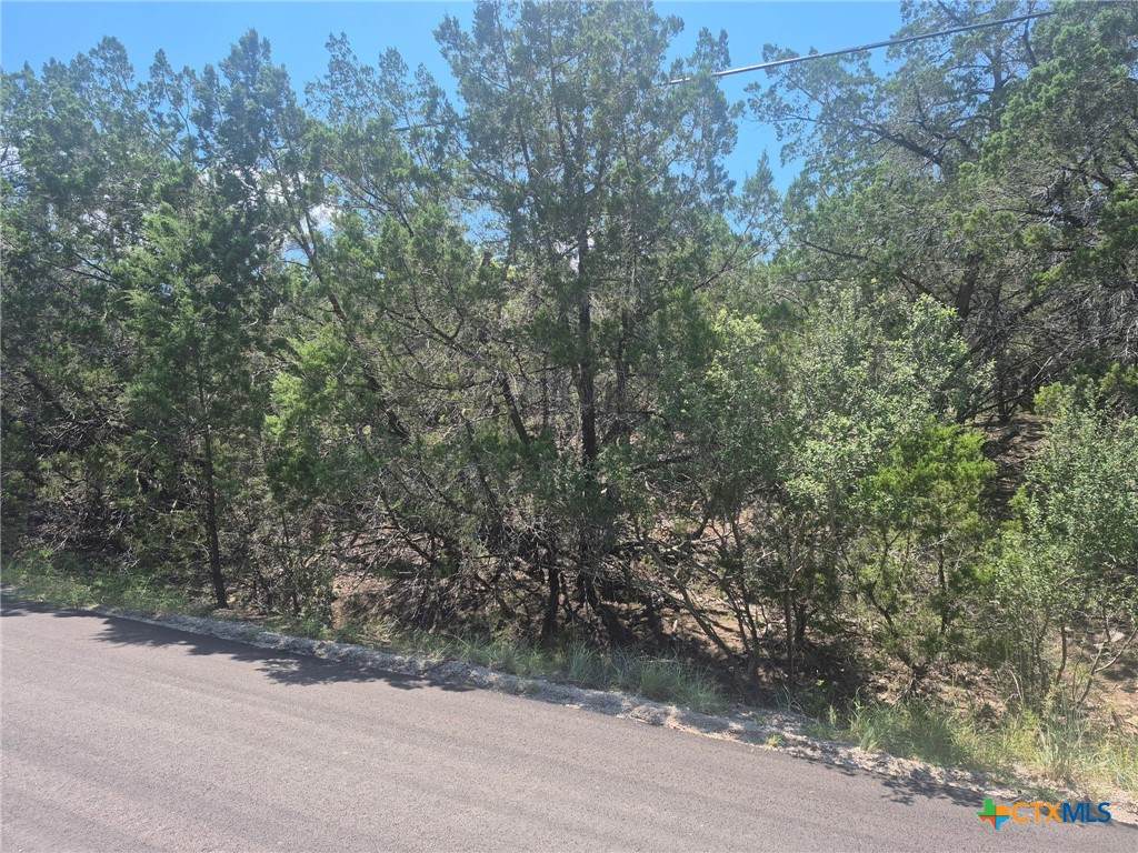 3602 Stillwood Lane - Photo 1