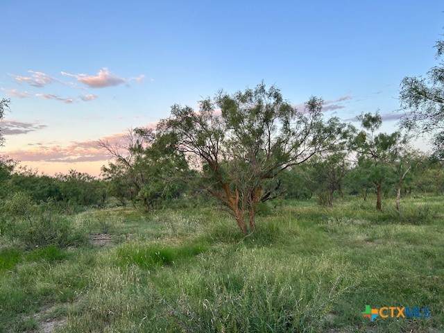 587 Valley Rd. - Photo 1