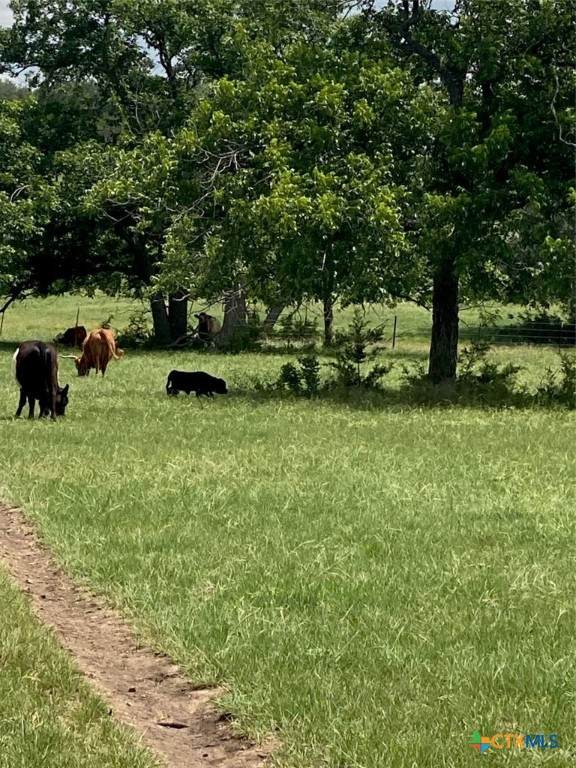 2029 County Road 200 - Photo 1