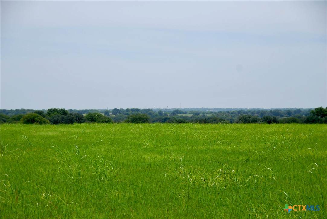 Tract 4 Company Field Road - Photo 1