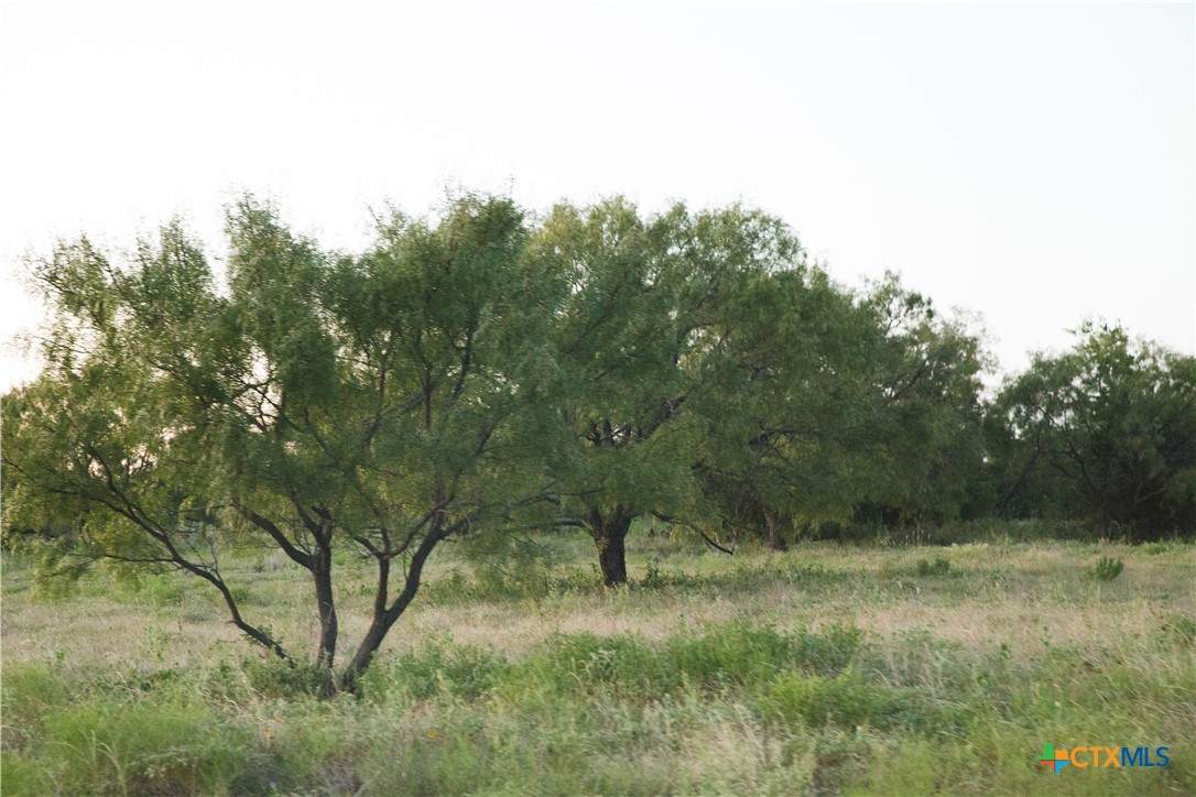 Lot 7 Harmon Road - Photo 1