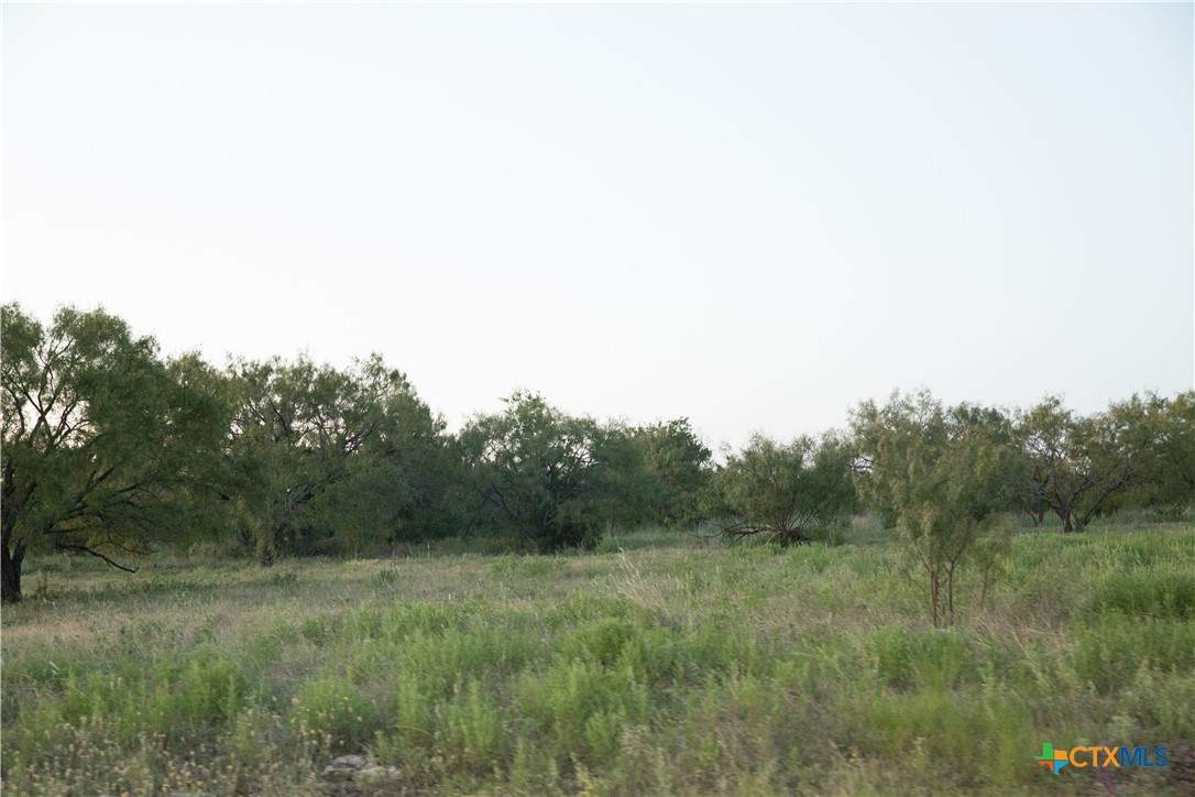 https://bt-photos.global.ssl.fastly.net/centraltx/orig_boomver_1_589692-2.jpg